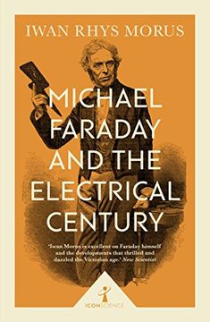 portada Michael Faraday and the Electrical Century (Icon Science) (en Inglés)
