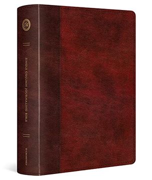 portada Esv Single Column Journaling Bible, Large Print (in English)