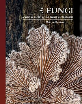 portada The Lives of Fungi: A Natural History of our Planet'S Decomposers (The Lives of the Natural World) (en Inglés)