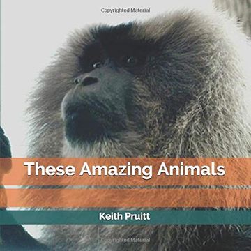 portada These Amazing Animals (en Inglés)