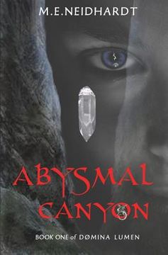 portada Abysmal Canyon: A Young Adult/New Adult Crossworlds Science Fantasy Novel (Domina Lumen Book 1) (en Inglés)
