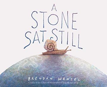 portada A Stone sat Still: (Environmental and Nature Picture Book for Kids, Perspective Book for Preschool and Kindergarten, Award Winning Illustrator) (en Inglés)