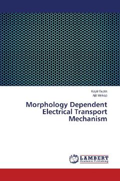 portada Morphology Dependent Electrical Transport Mechanism