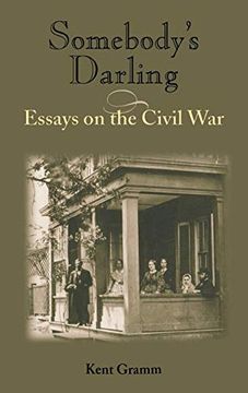 portada Somebody's Darling: Essays on the Civil war (in English)
