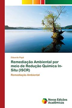 portada Remediação Ambiental por Meio de Redução Química In-Situ (Iscr)