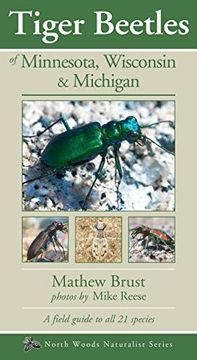 portada Tiger Beetles of Minnesota, Wisconsin & Michigan (Naturalist Series) (en Inglés)