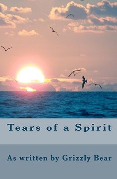 portada tears of a spirit (en Inglés)