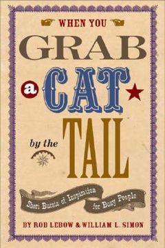 portada When You Grab a Cat by the Tail: Small Bursts of Inspiration for Busy People (en Inglés)