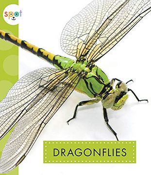 portada Dragonflies (Spot: Creepy Crawlies) (en Inglés)