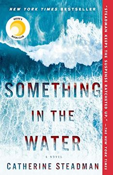 portada Something in the Water 