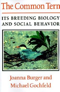portada the common tern: its breeding biology and social behavior (en Inglés)