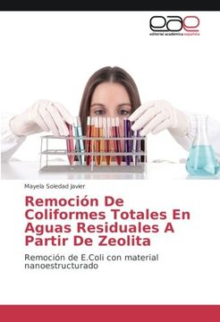 portada Remoción De Coliformes Totales En Aguas Residuales A Partir De Zeolita: Remoción de E.Coli con material nanoestructurado