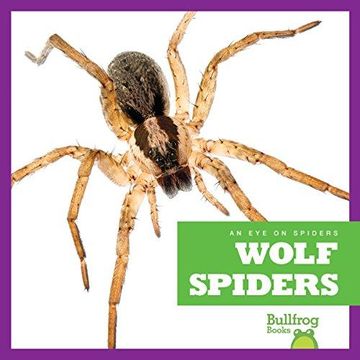 portada Wolf Spiders (en Inglés)