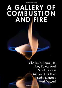 portada A Gallery of Combustion and Fire (in English)