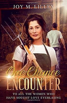portada One Chance Encounter (in English)