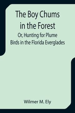portada The Boy Chums in the Forest; Or, Hunting for Plume Birds in the Florida Everglades (en Inglés)