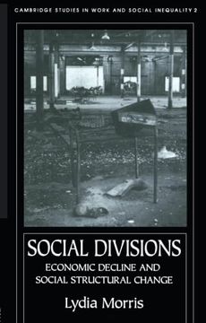 portada Social Divisions (en Inglés)