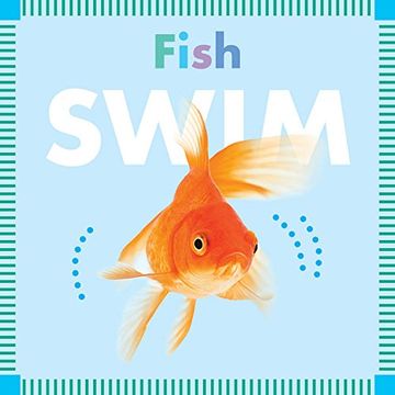 portada Fish Swim (Amicus Ink Board Books)