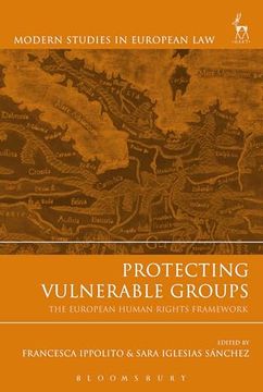 portada Protecting Vulnerable Groups: The European Human Rights Framework (in English)