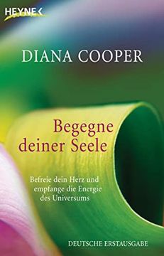 portada Begegne Deiner Seele: Befreie Dein Herz und Empfange die Energie des Universums (in German)