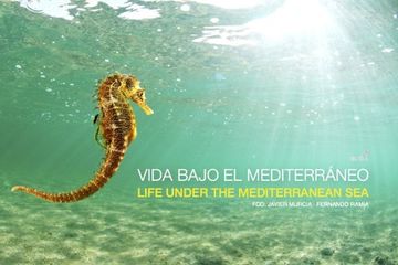 portada Vida bajo el Mediterráneo = Life under Mediterranean sea