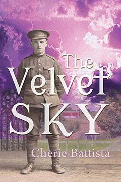portada The Velvet sky (en Inglés)