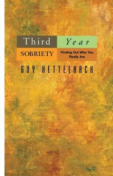 portada Third Year Sobriety: Finding Out Who You Really Are (en Inglés)