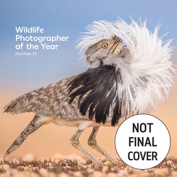 portada Wildlife Photographer of the Year: Portfolio 33 (en Inglés)