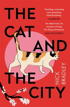 portada The cat and the City (in English)