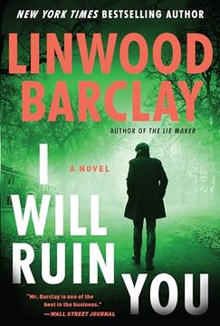 portada I Will Ruin You: A Novel (in English)