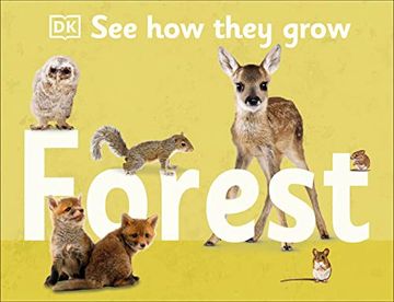 portada See how They Grow: Forest: Follow Your Favorite Baby Animals as They Grow! (en Inglés)