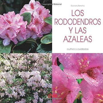 portada Los Rododendros y las Azaleas