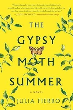 portada The Gypsy Moth Summer: A Novel (en Inglés)