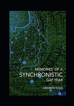 portada Memories of a Synchronistic gap Year: Revealed. A True Story of a Covert Government Brain-Machine Interface Experiment. (in English)