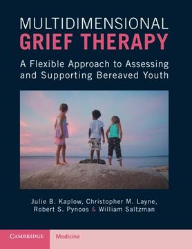 portada Multidimensional Grief Therapy: A Flexible Approach to Assessing and Supporting Bereaved Youth