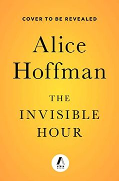 portada The Invisible Hour: A Novel (in English)