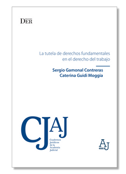 portada Tutela de derechos fundamentales en el derecho del trabajo (in Spanish)