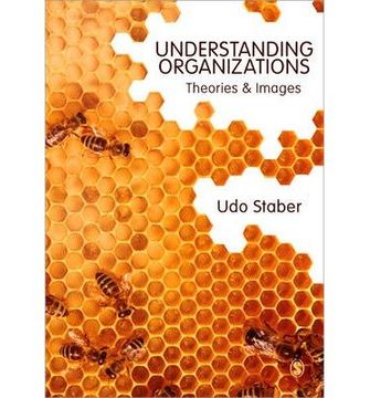 portada Understanding Organizations Theories and Images (en Inglés)