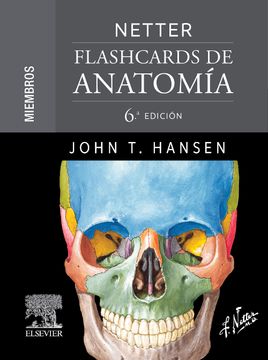 portada Netter Flashcards de Anatomia Miembros 6ª ed