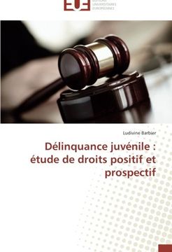 portada Délinquance juvénile: étude de droits positif et prospectif