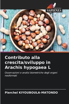 portada Contributo alla crescita/sviluppo in Arachis hypogaea L (en Italiano)