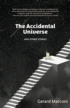portada The Accidental Universe and Other Stories 
