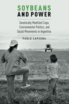 portada Soybeans and Power: Genetically Modified Crops, Environmental Politics, and Social Movements in Argentina (Global and Comparative Ethnography) (en Inglés)