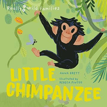 portada Little Chimpanzee