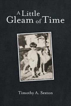 portada A Little Gleam of Time (in English)