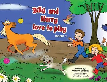 portada Billy and Harry love to play (in English)