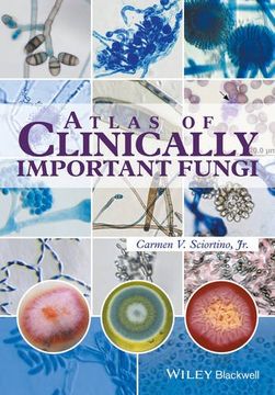 portada Atlas of Clinically Important Fungi (in English)