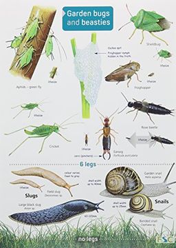 portada Garden Bugs and Beasties (Chart)