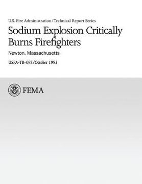 portada Sodium Explosion Critically Burns Firefighters: Newton, Massachusetts (en Inglés)