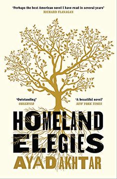 portada Homeland Elegies: A Barack Obama Favourite Book (in English)